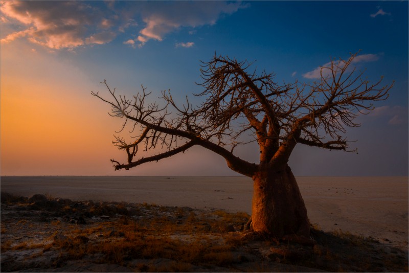 Best Senior Image of the Month